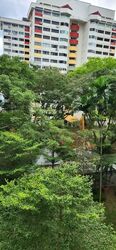 Blk 234 Serangoon Avenue 3 (Serangoon), HDB 4 Rooms #545095751